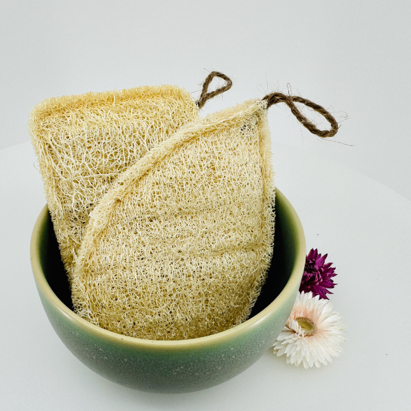 Oloofa Dish Sponge (Số Muớp rửa bát)