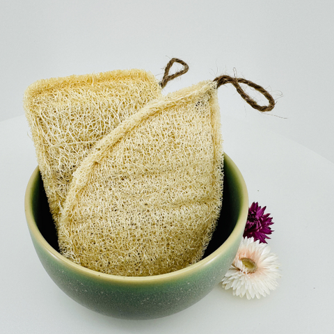 Oloofa Dish Sponge (Số Muớp rửa bát)