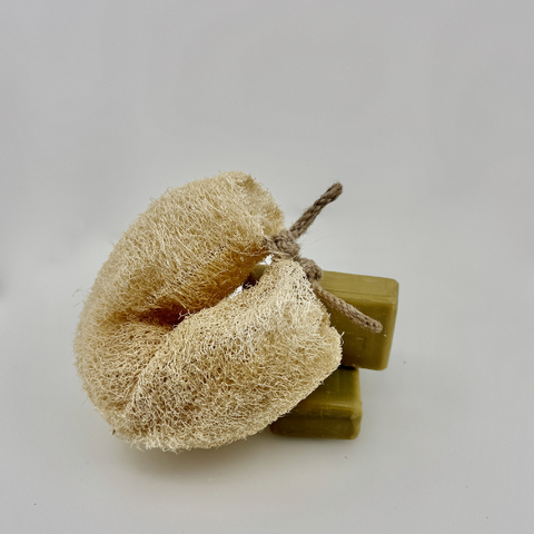 Oloofa Flex Sponge (Xơ Mướp đa năng) Wholesale