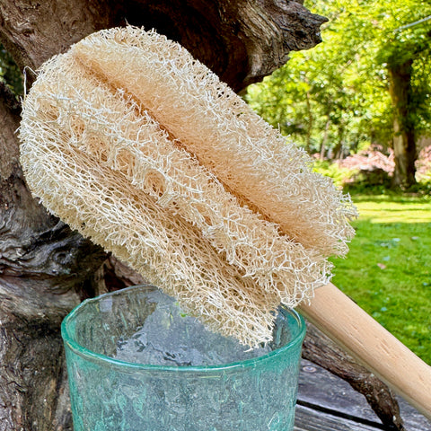 Oloofa Glass and Mug Cleaning Wand (Số Muớp rửa ly) Wholesale